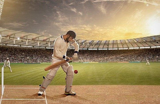 cricket news